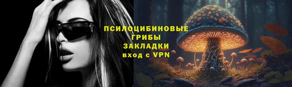 стаф Коряжма