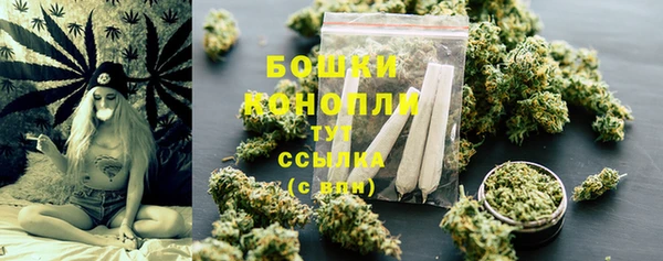 стаф Коряжма