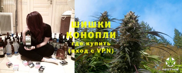 стаф Коряжма