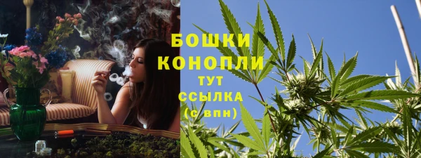 стаф Коряжма